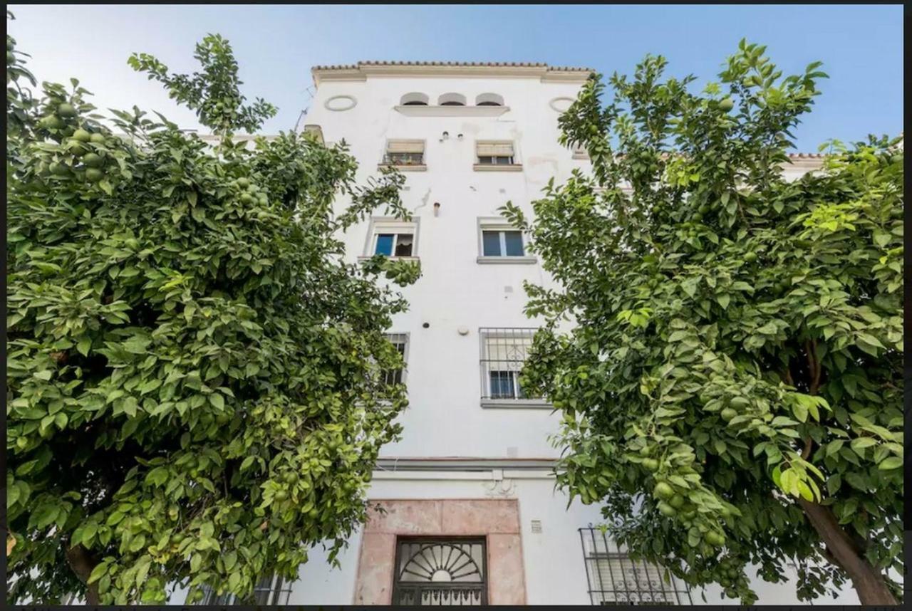 Apartamento Milagros 110 m2 Malaga Bagian luar foto